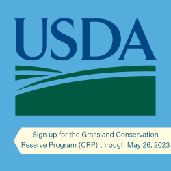 Sign up for the Grassland Conservation Reserve Program (CRP) through May 26, 2023.