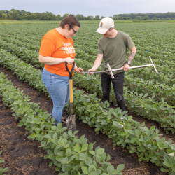 Soil Webinar