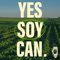 YES SOY CAN
