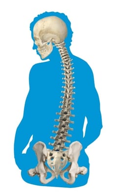 abnormal_curvature_of_the_spine_spinal_rotation.jpg