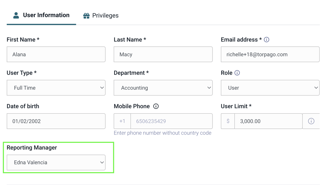Torpago - Reporting Manager User Role