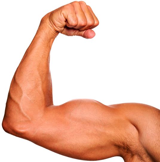 muscle arm