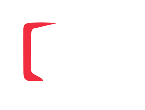 WSE_MASTER LOGO_COLOUR_NEGATIVE-5