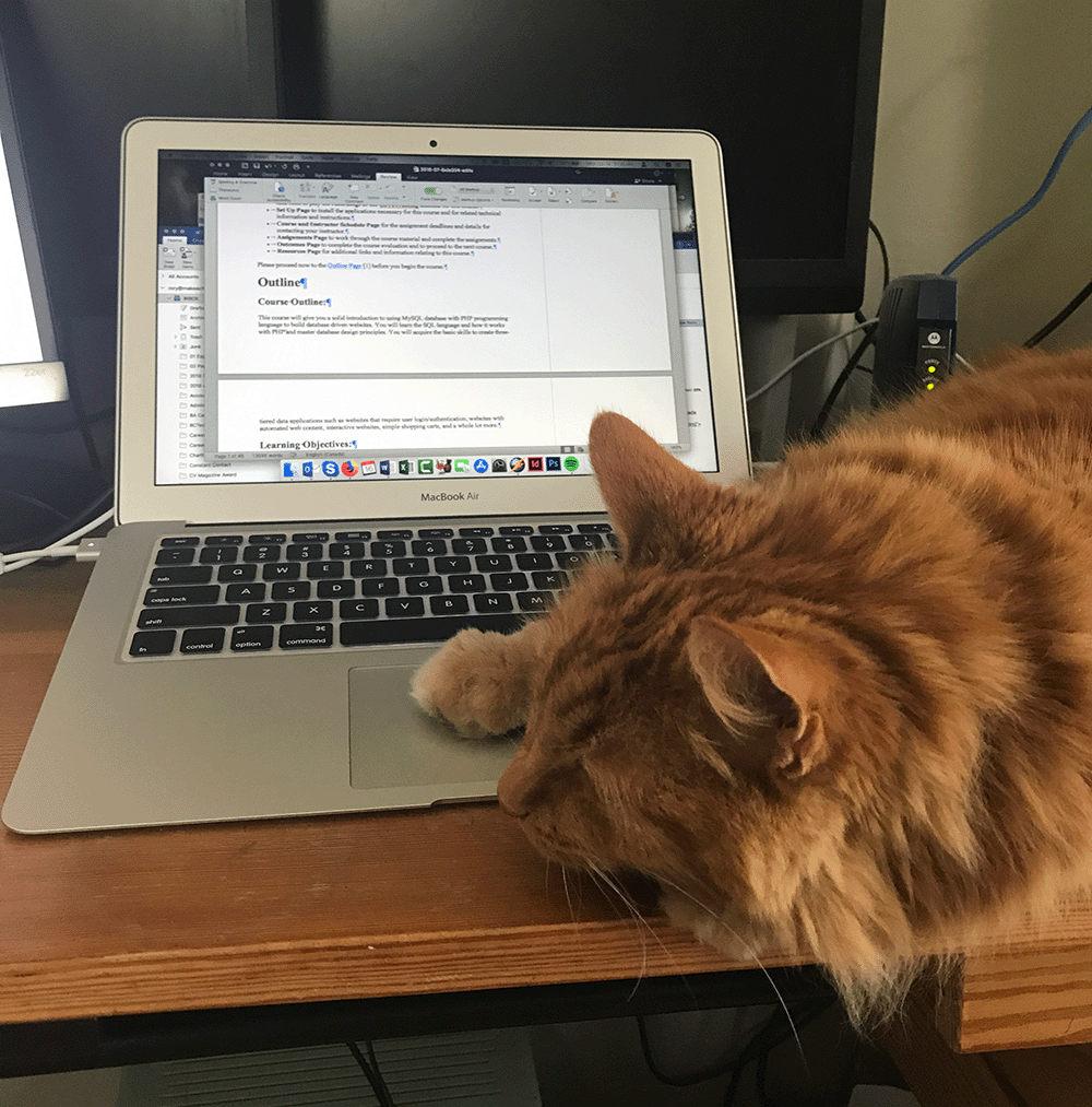 An orange cat laying on a keyboard of a laptop.