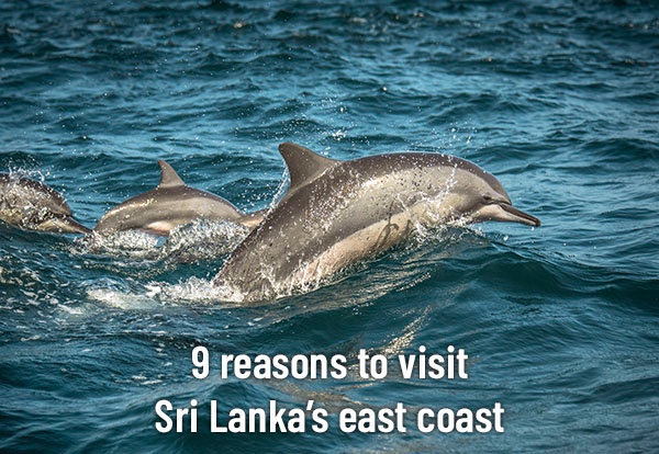 3.Sri Lanka.jpg