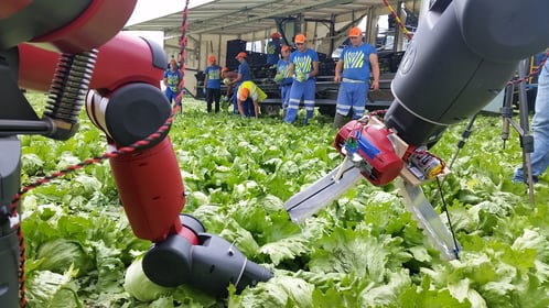 Trabalho Temporário em Agricultura, Multitempo, RHmais