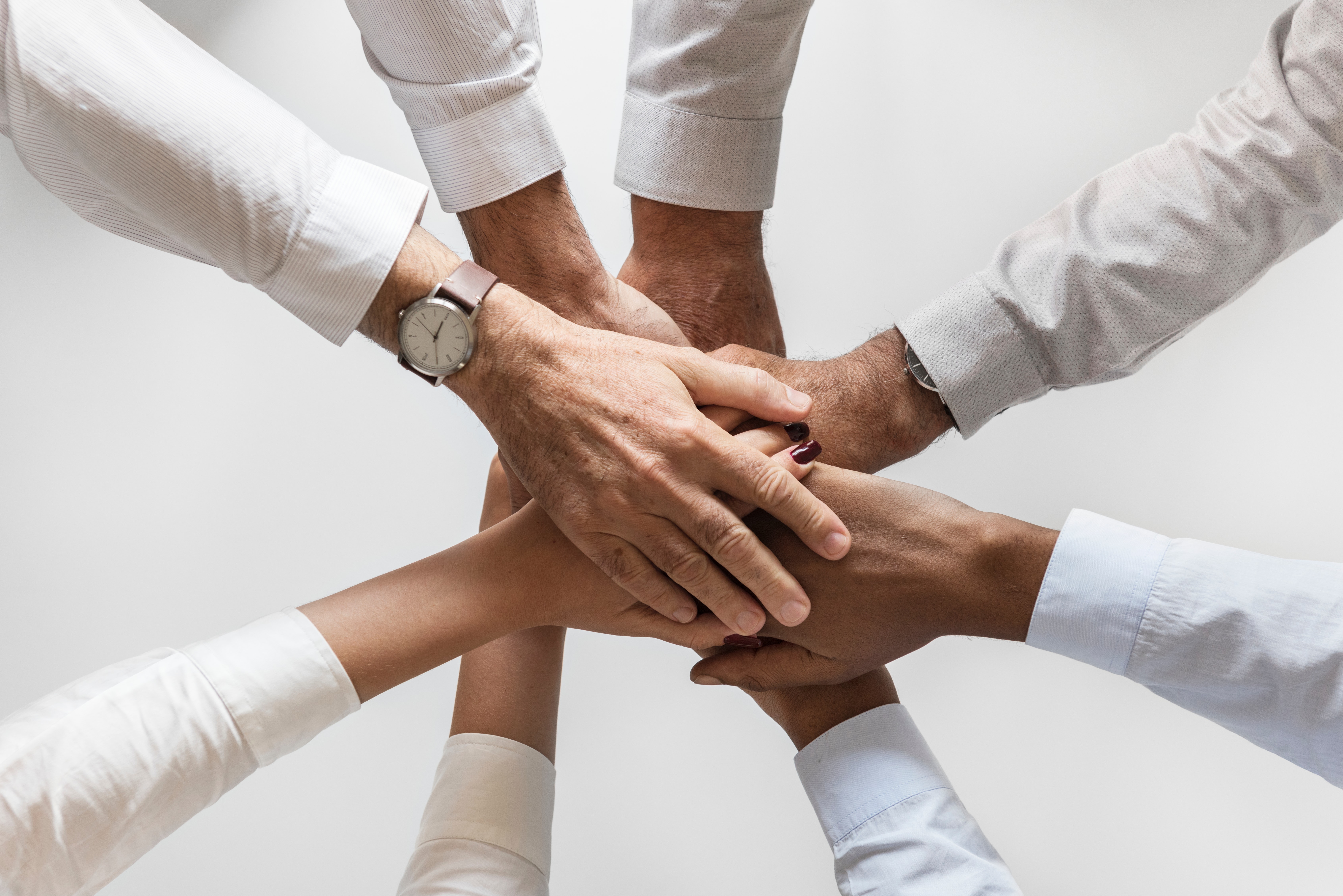 6 Dicas para criar uma equipa de sucesso