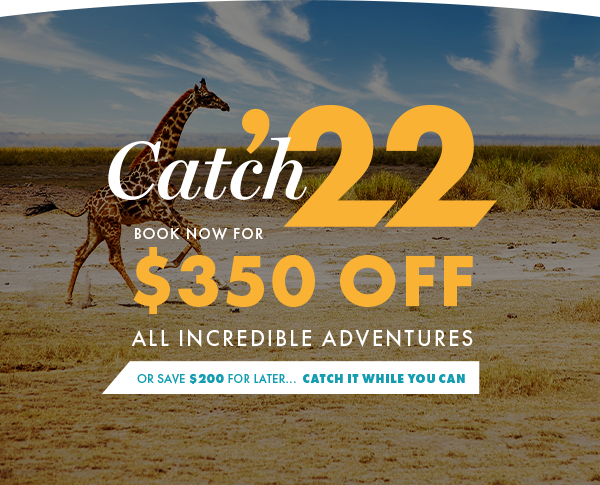 NAM-EMAIL-HERO-Catch22-v1