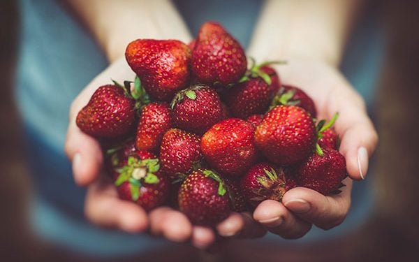 201704_STrawberry-600x375