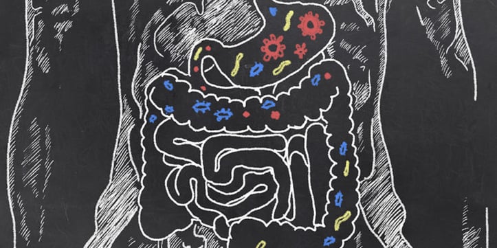 AFM_bob官方体育下载NUTRITION-SCIECS1-750X375