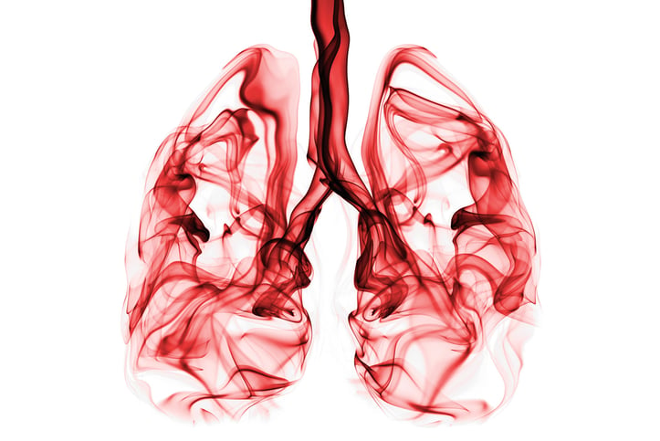 肺部