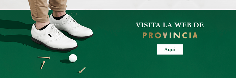 Visita la web de Provincia aquí