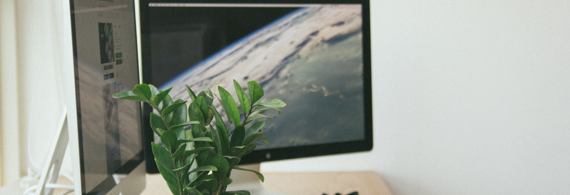 BG IMG.png BG IMG.png