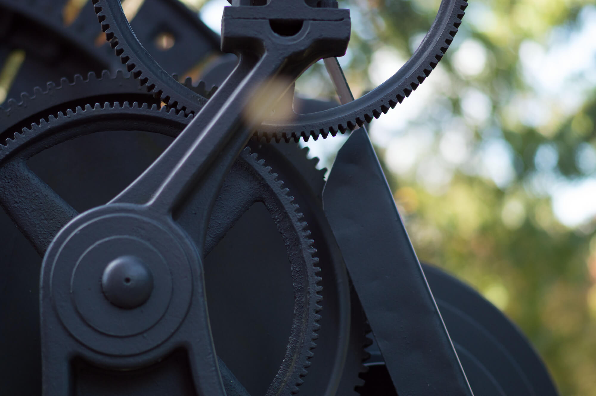 banner-image.jpg