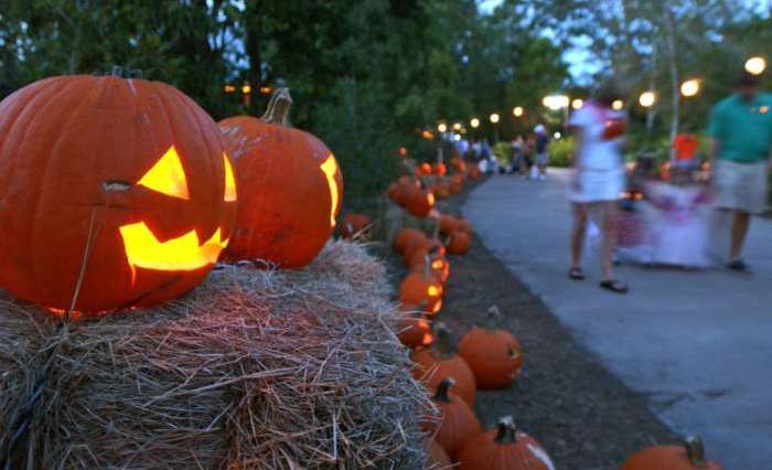 How Historic St. Augustine Does Halloween