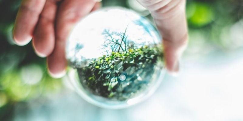 5 products for the eco-friendly decorator