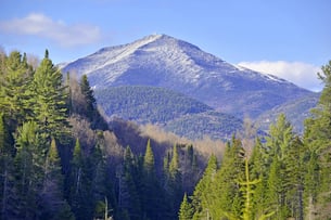 Whiteface_shutterstock_189286796