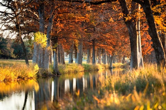 Joshua-Creek-Ranch Creek