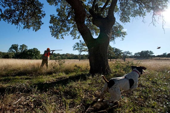 Joshua-Creek-Ranch_upland-hunter