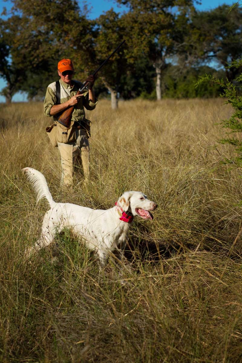 Joshua-Creek-Ranch_on-point