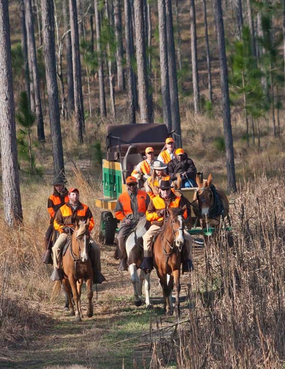 SouthWind
