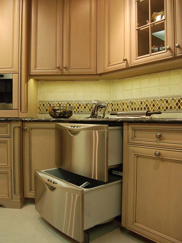 drawer dishwasher pros and cons