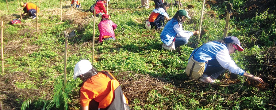 banner-greeninitiatives.jpg