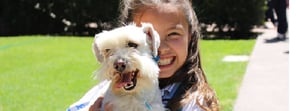 UNA MASCOTA PARA INCULCAR VALORES