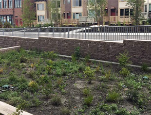 body_img2 - 007237 edited.jpg