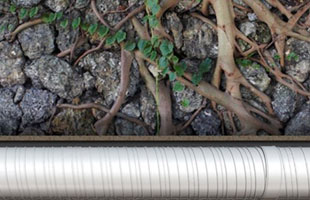 根系入侵的考虑因素