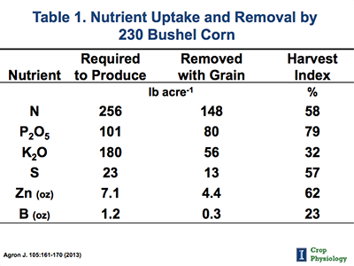 requirements phosphorus plants for Requirements Nutrient Understanding for High Yielding Corn