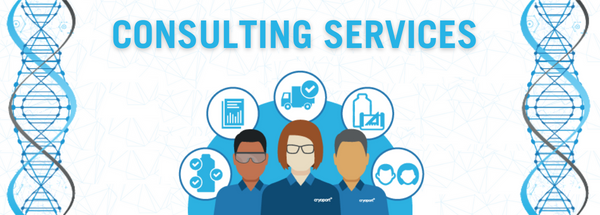 eblast header - August 2022 Consulting