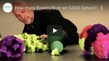 Screen Shot 2019-12-23 at 4.18.17 PM