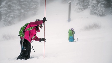 Probe in snow.jpg