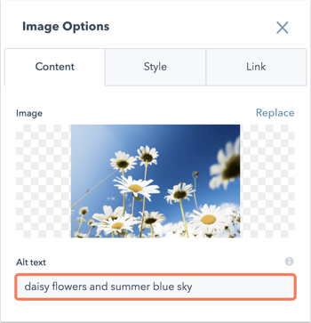 Add alt text to your image