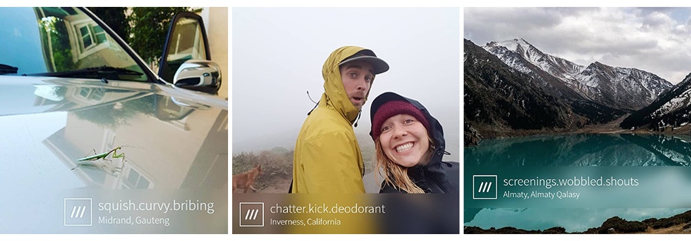 3 wordphoto newsletter