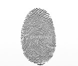 Innovative consultancy in Sydney and Melbourne