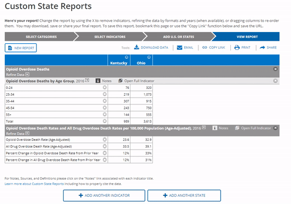 Custom State Reports