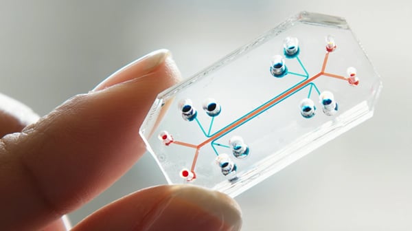 ORGANS ON A CHIP