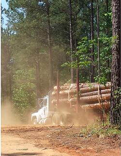 log_truck.jpg