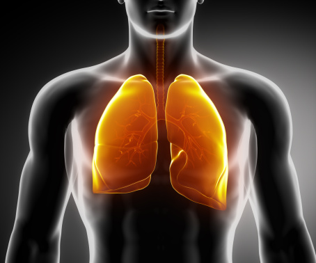 lungs-powerlung-active-aging