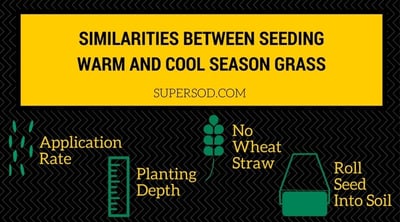 4 Similarities Between Seeding Warm-Season Grass and Cool-Season Grass - featured image