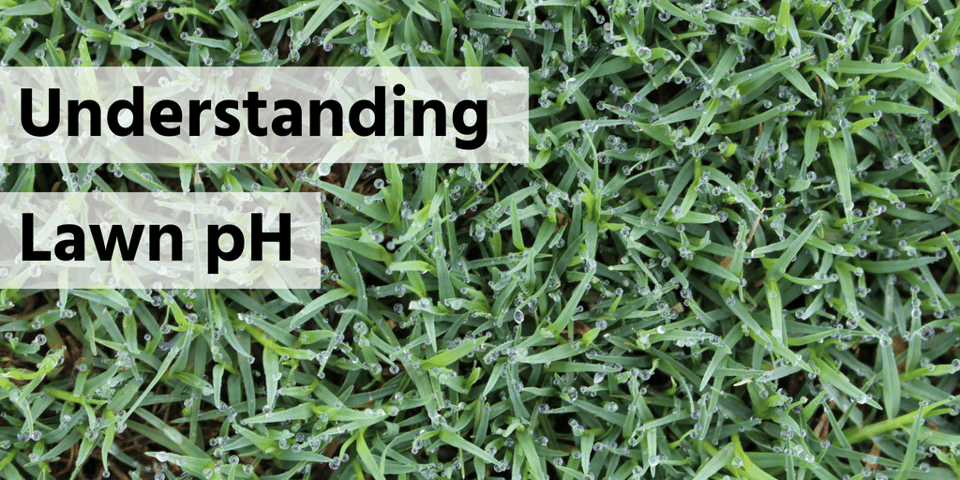 Understanding lawn pH header
