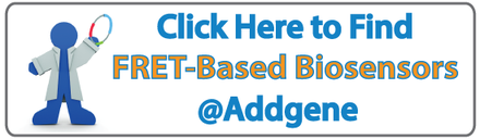 Looking for FRET-Based Biosensors? Click here to Find Them at Addgene
