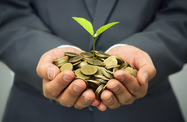 Socially Responsible Investments: What Are They and Should the Plan Have Them?
