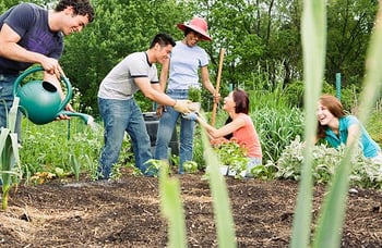 neighbors-working-together-community-garden-social-benefits1.jpg neighbors-working-together-community-garden-social-benefits1.jpg