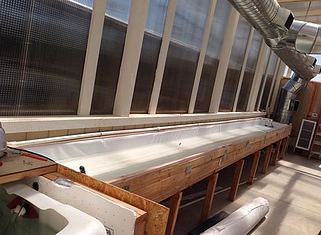 Aquaponics is Thriving