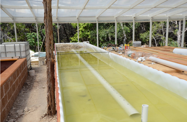 tanks & grow beds for aquaponics and hydroponics