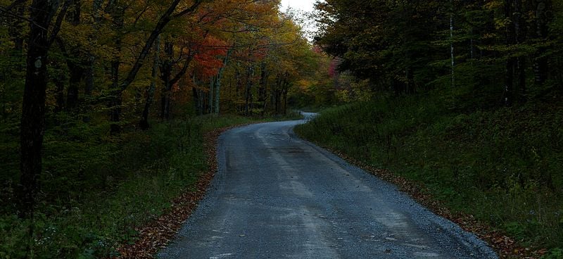 Autumn-forest-foliage-country-road_-_West_Virginia_-_ForestWander