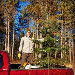 Finding the perfect Christmas tree